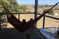 view-from-hammock