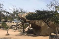 aruba_rocks