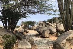 aruba_rocks11