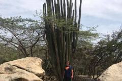 aruba_rocks_12
