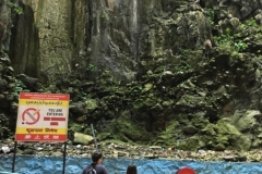 watching for monkeys