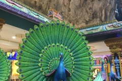 peacock statue