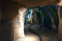 the track
