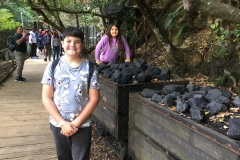 coal-load