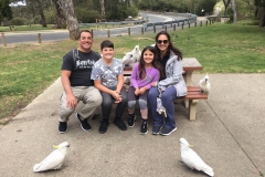 family-cockatoos