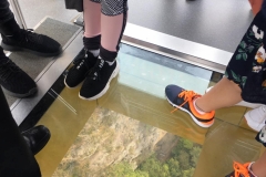 glass-floor