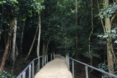 raised-walkway
