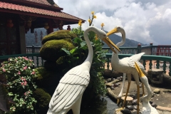 cranes