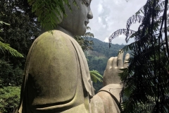 side-buddha