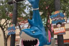 sharkbite