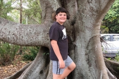 cool-gum-tree