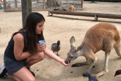 lexi-feeding-kanga