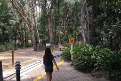 trails