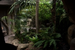 view-through-cave
