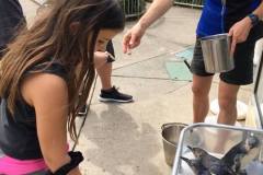 lexi-feeding-penguins