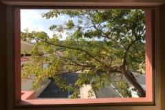 tree-view