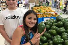 tropical-avocados