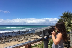 lexi-viewing-lense