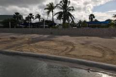 1_nesting-sand-area