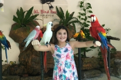 bird-girl
