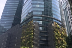 skyscrapers