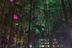 tree lights