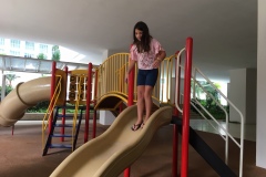 Play Structure at the Marc