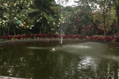 fountain