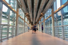 Pic from the double decker sky bridge