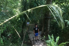 Lost?