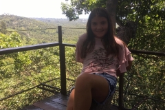 Monkey in the tree?...Lexi in the tree :)
