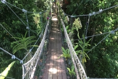 Suspended rope bridge