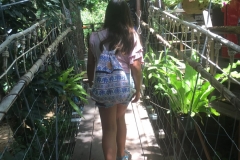 Lexi crossing