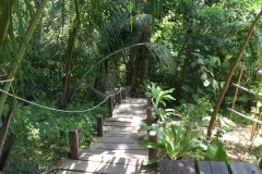 Waterfall trail