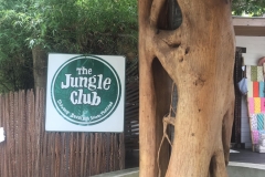 The Jungle Club