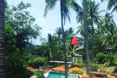 pool with a view