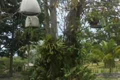 grounds
