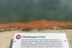 champagne-pool
