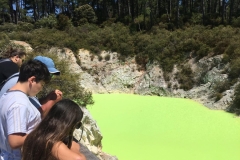 neon-pool