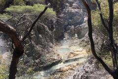 steaming-pool
