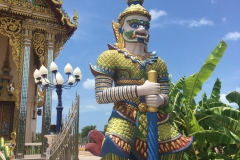 impressive colors and detail