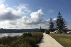 boardwalktrail