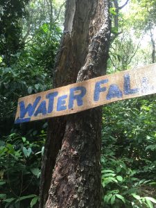 Tan Rua Waterfall Hike & Tree Bridge Cafe