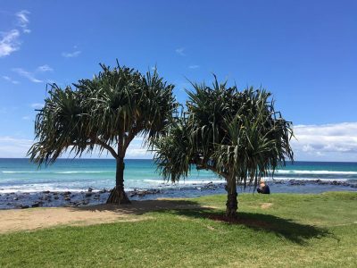 Gold Coast Australia
