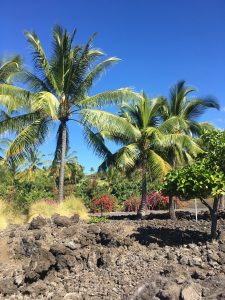 Kailua Kona